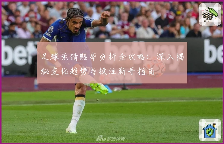 足球竞猜赔率分析全攻略：深入揭秘变化趋势与投注新手指南
