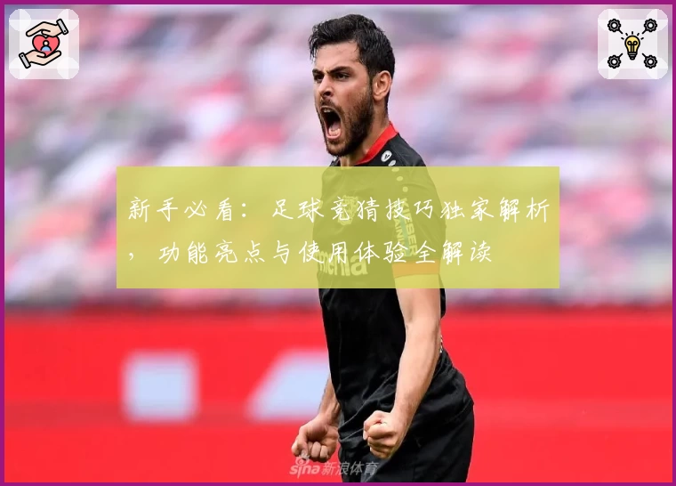 新手必看：足球竞猜技巧独家解析，功能亮点与使用体验全解读